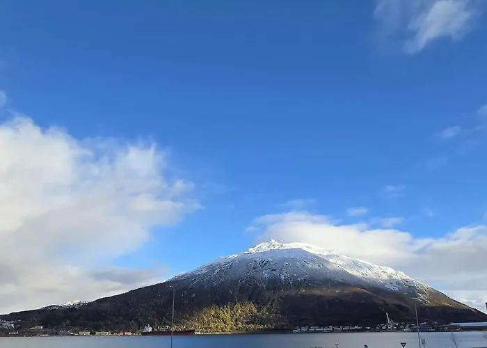 Kuben Utleie * Narvik